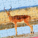 Risolvi il puzzle: natura e animali