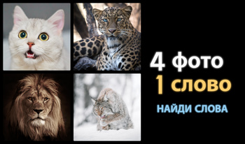 4 фото 1 слово - Найди слова