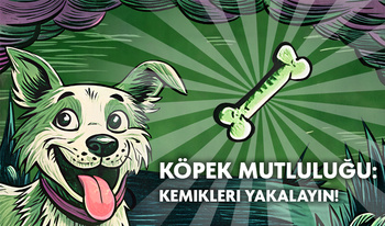 Köpek mutluluğu: Kemikleri yakalayın!