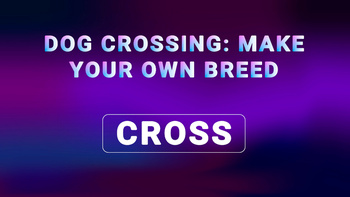 Dog Crossing: Make Your Own Breed