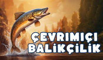 Çevrimiçi Balıkçılık