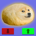 Doge Cryptocurrency