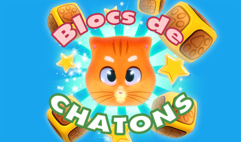 Blocs de chatons