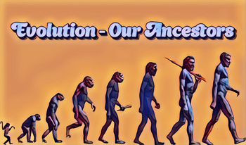 Evolution - Our Ancestors