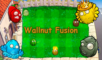 Wallnut Fusion