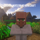 Звонок жителю из Minecraft