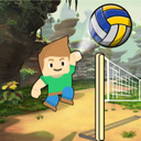 Funny Volleyball