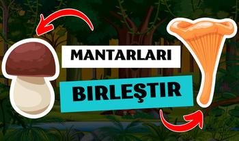 Mantarları Birleştir