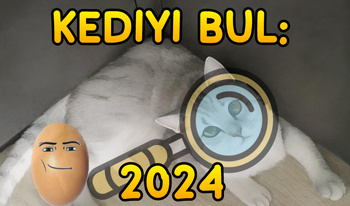 Kediyi Bul: 2024