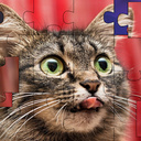 Chats drôles: Puzzle