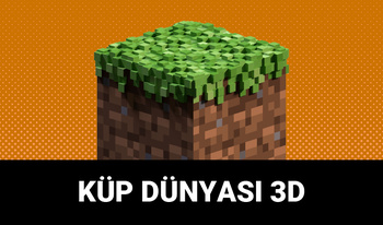 Küp Dünyası 3D