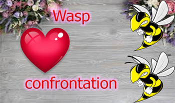 Wasp confrontation