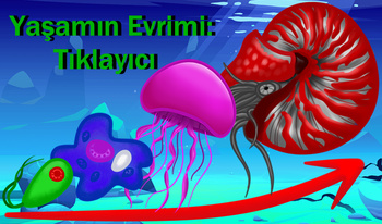 Yaşamın Evrimi: Tıklayıcı