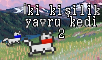 İki kişilik yavru kedi 2