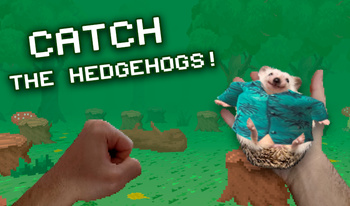 Catch the Hedgehogs!