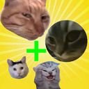 Merging cat memes