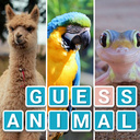 Guess Animal