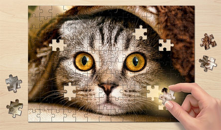 Jigsaw Puzzle World